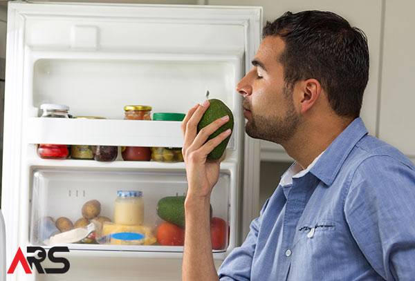 These Easy Tips Will Make Your Fridge Smell Great!
